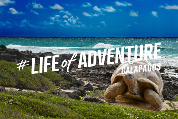 Galapagos Islands, email campaign
